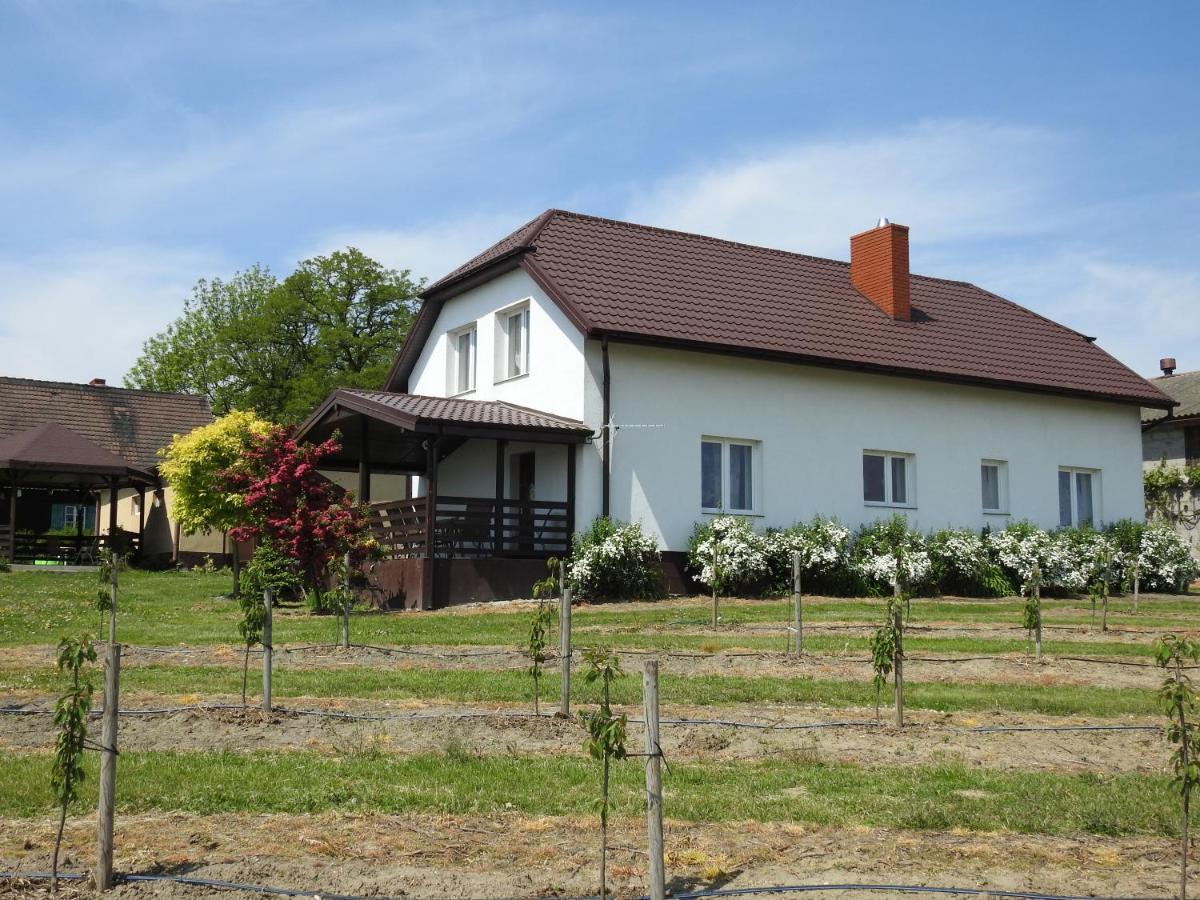 Owocowy Raj Nad Zalewem Villa Modla Krolewska Buitenkant foto
