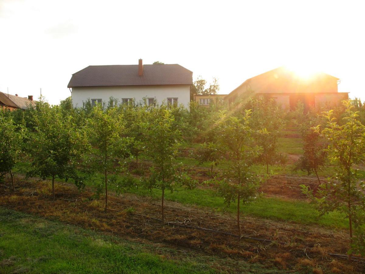 Owocowy Raj Nad Zalewem Villa Modla Krolewska Buitenkant foto